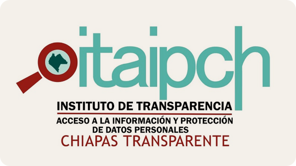 Instituto de Transparencia de acceso a la información publica